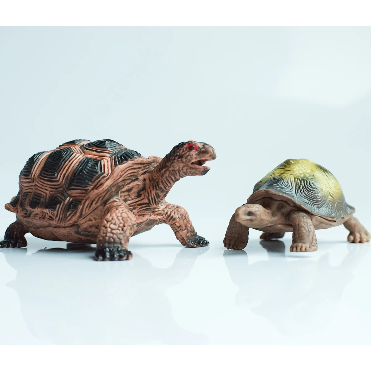 Tortue animale réaliste peinte - Planted Tank avis et prix