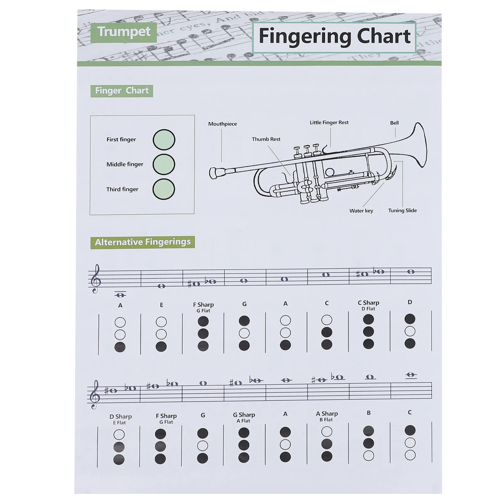 1-peca-tabela-de-referencia-para-aprendizado-de-acordes-de-trompete-para-musicos-iniciantes-–-guia-visual-de-facil-leitura-para-pratica-rapida-e-dominio