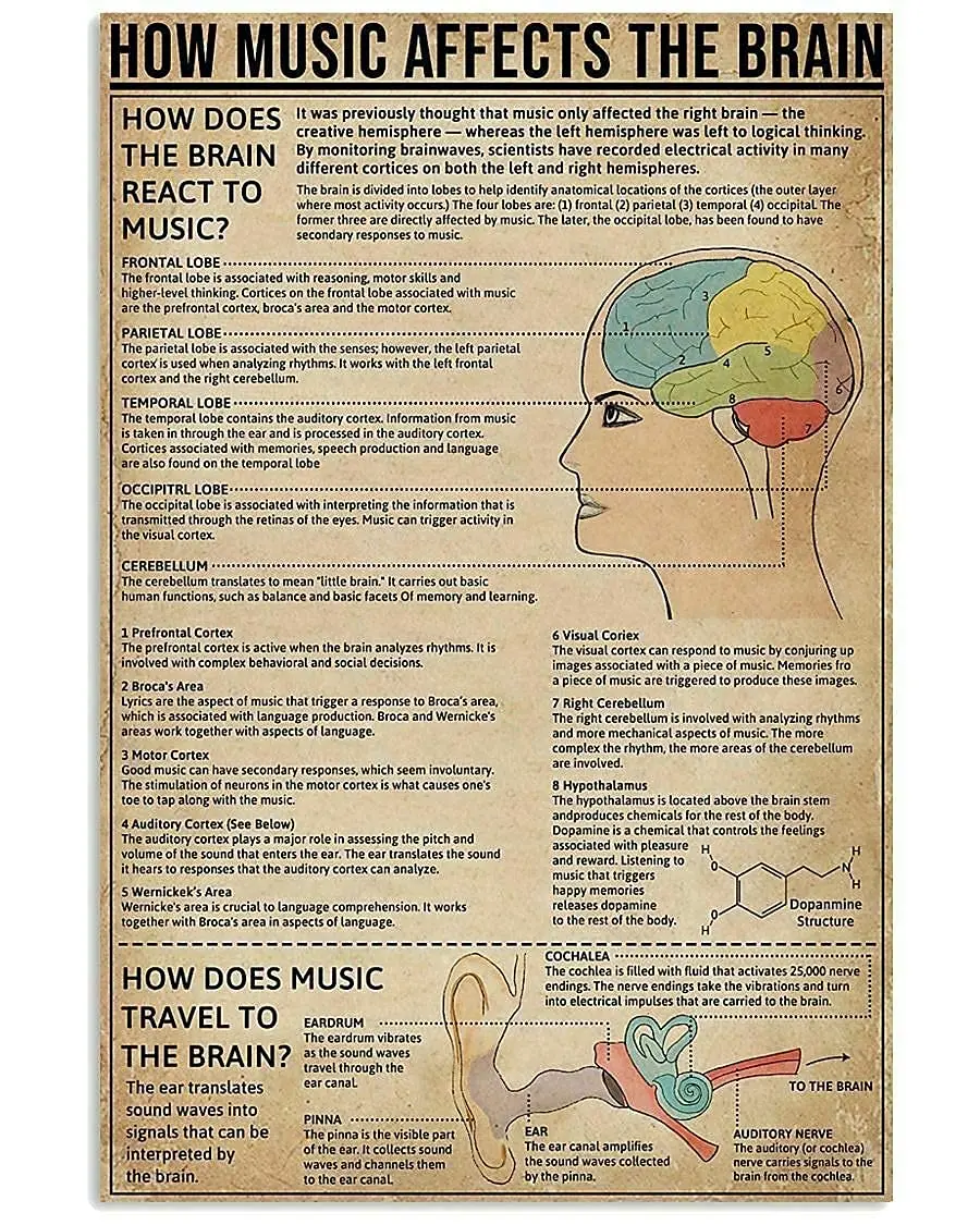 

Veidsuh How Music Affects The Brain Retro Poster Plaque for Club Cafe Bar Home Kitchen Wall Decoration