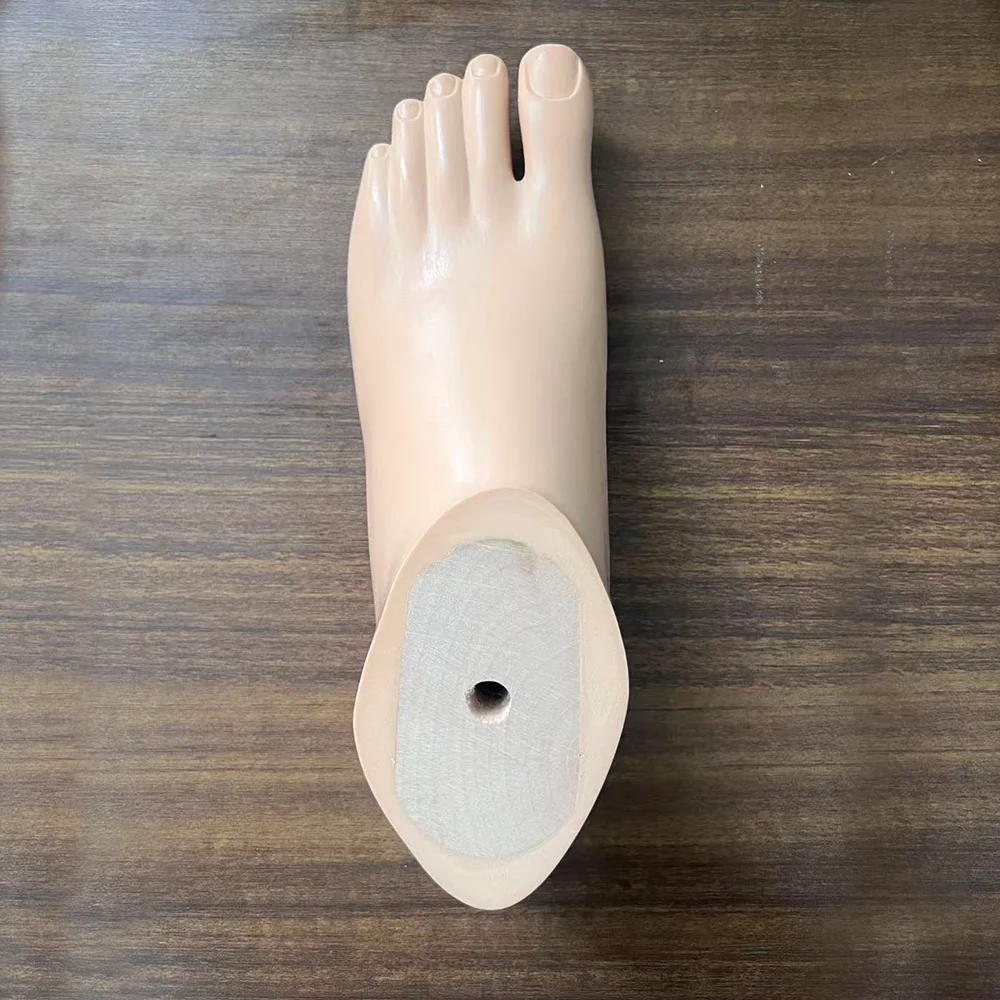 

Prosthetic footplates, static ankle joint accessories, parts, prosthetic orthotics, prosthetic sockets, fastening prostheses