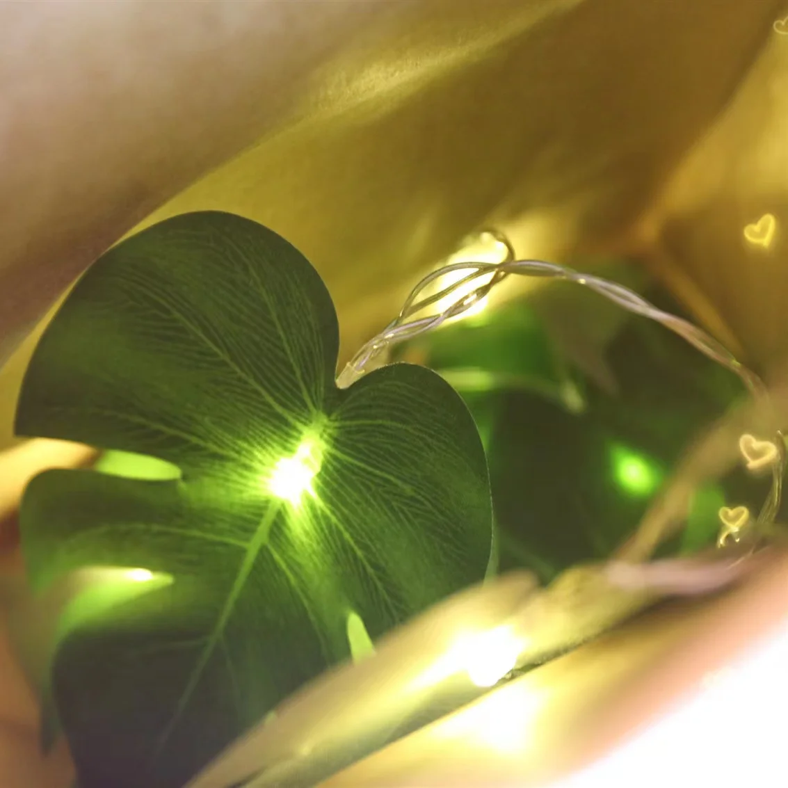 adiantum plant Maidenhair Fern Plant Care - How to Grow Adiantum