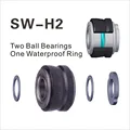 SW-H2