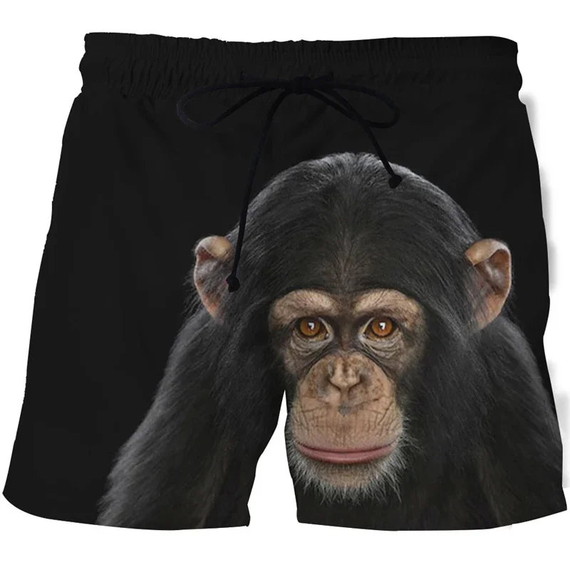 Funny Gorilla Monkey 3d Print Men Short Pants Cool Animal Graphics Summer Swimming Trunks Sports Quick Dry Surf Board Shorts