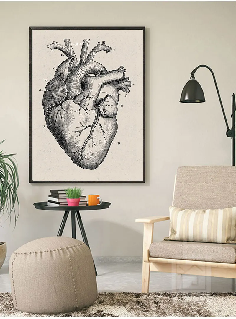 Nordic Canvas Print Education Painting Modern Decor Human Anatomy Artwork Medical Wall Picture Muscle Skeleton Vintage Poster