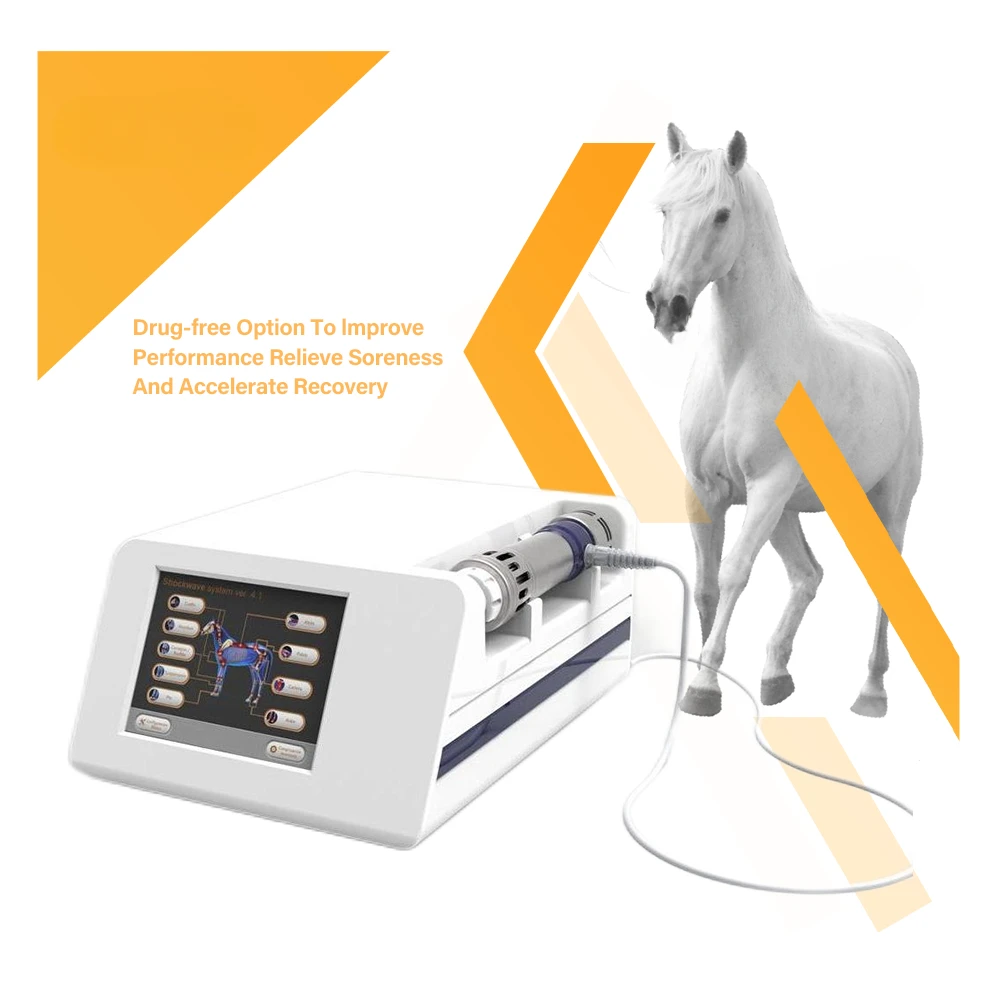 Equino Shockwave Therapy Machine, Quick Pain Relief, Animal, alta qualidade