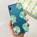 case-c51