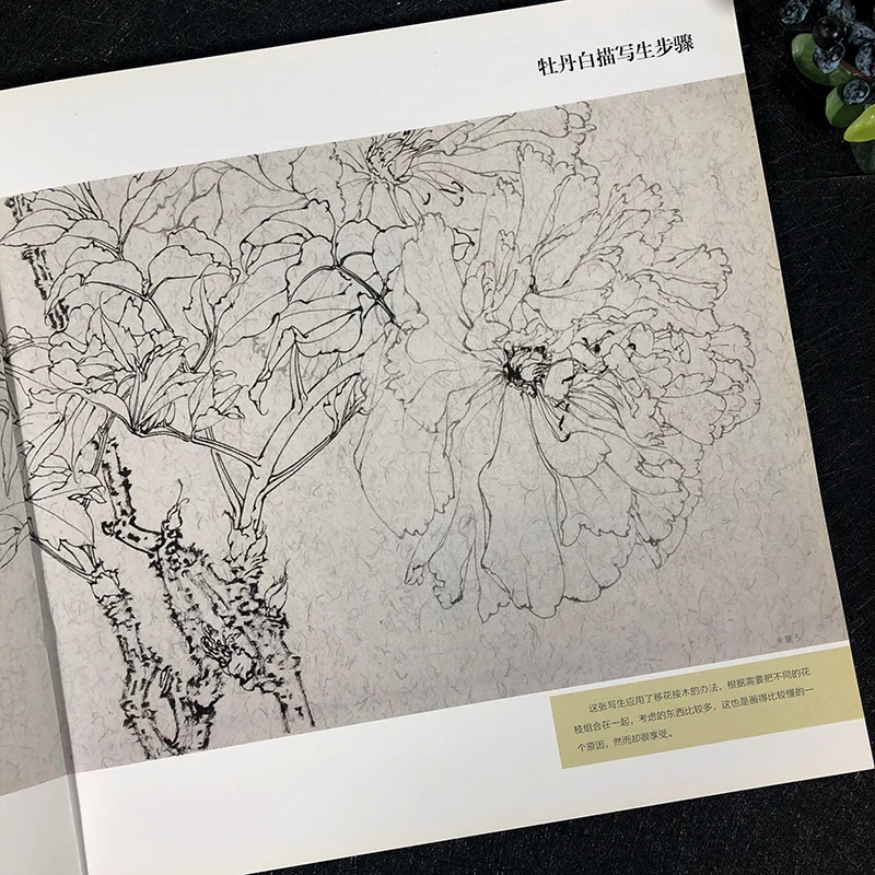 Meticulous Painting Technique Tutorial Line Drawing Flower Bird Insect Manuscript Beginner Chinese Painting Getting Started Book