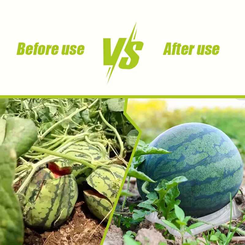 

20/50/100pcs Plastic Watermelon Stand Melon Fruit Plant Transparent Tray Garden Fruits Vegetables Anti-rot Protection Holder