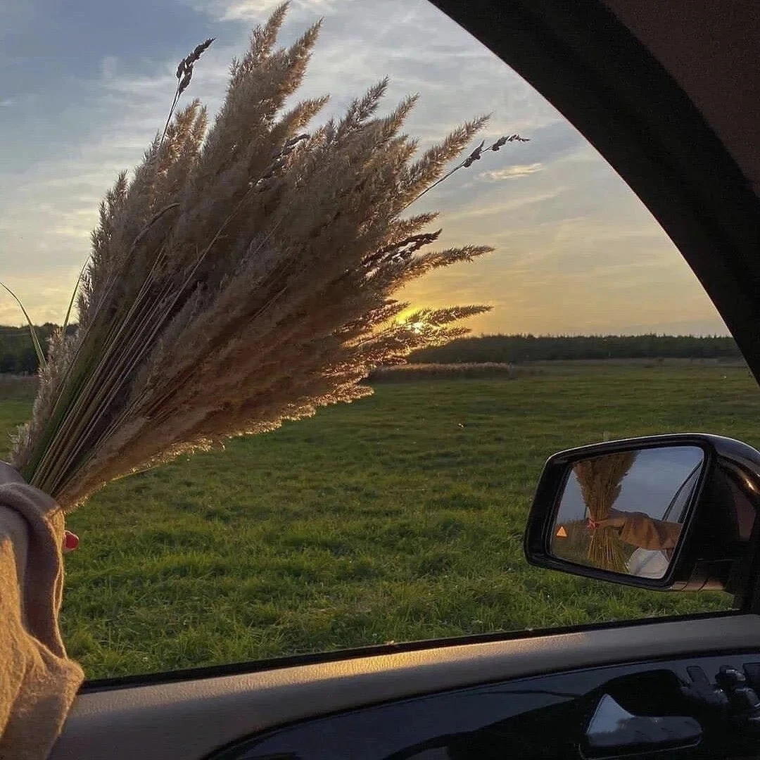 

Шины и колеса для моделей 1/10, 1/12, 1/14 (для дороговых гонок), пластиковые диски с шестигранником 12 мм, совместимые с Tamiya TT01, TT02, Kyosho, Sakura D3, Trxs 4Tec 2.0