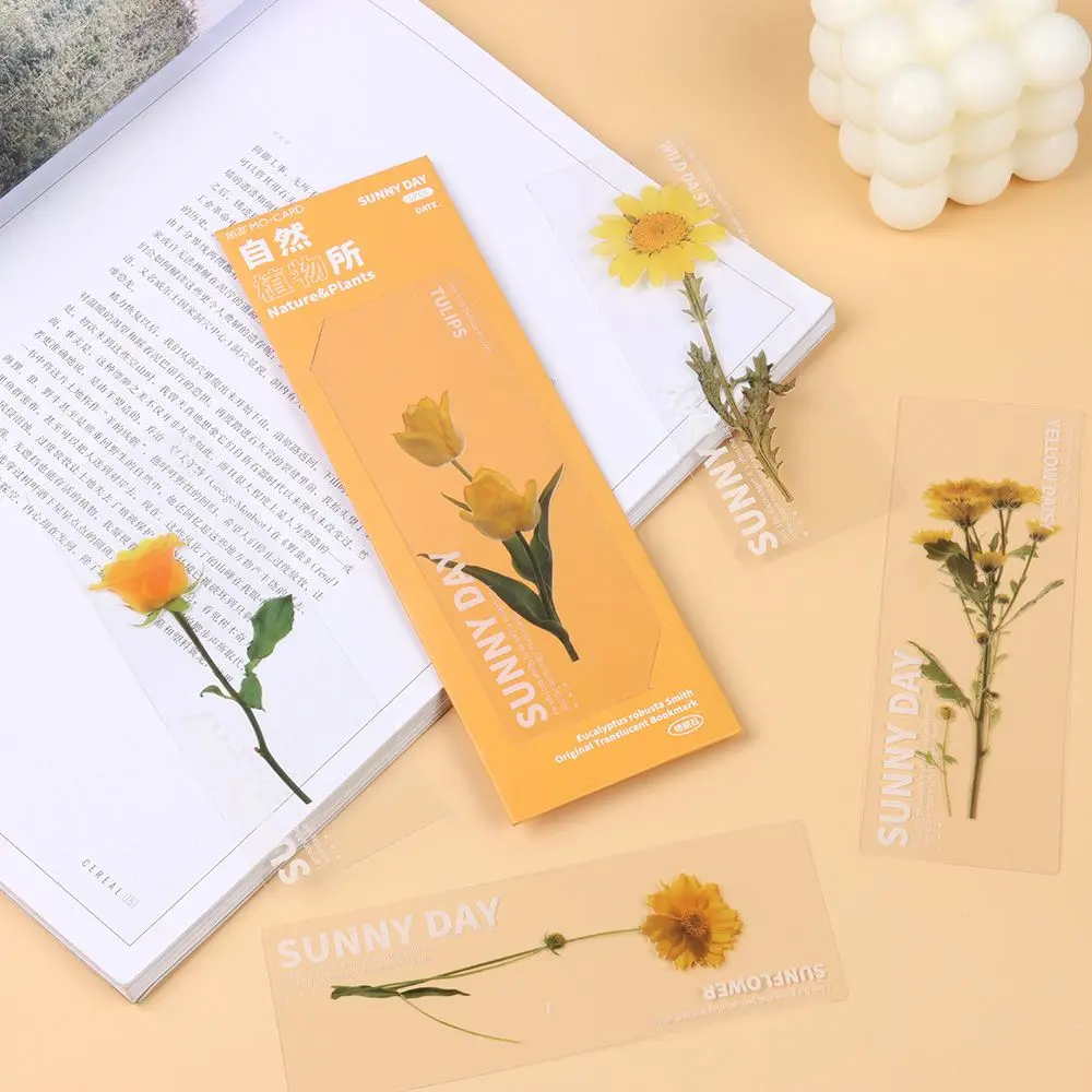 Nature Plants Bookmarks Leaf Vein Translucent Flower Specimen Bookmarks Book Note Marker Office School Supplies Gift Stationery