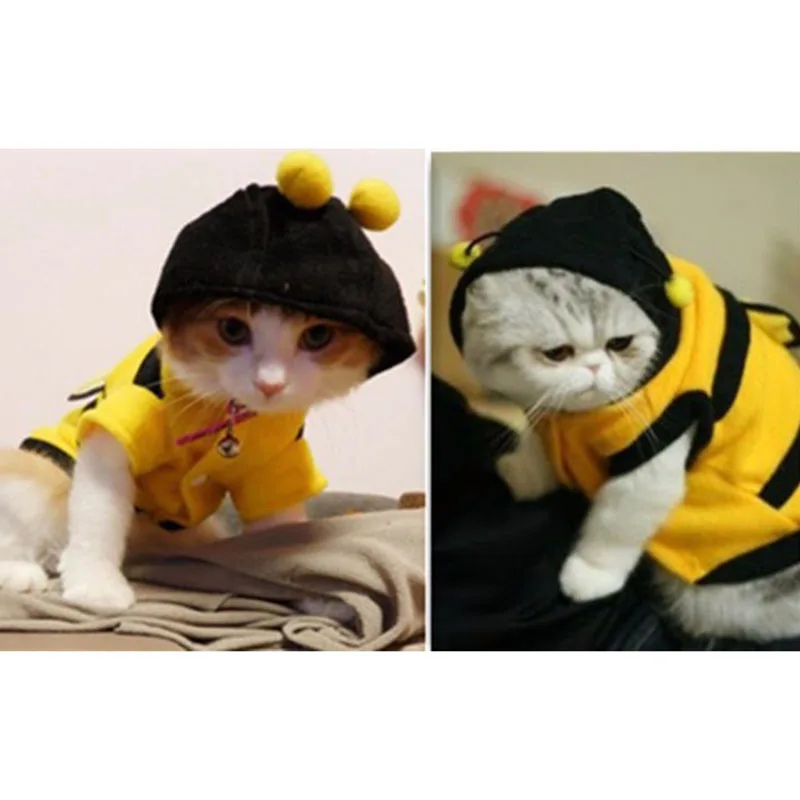 Cute Dog Clothes Cat Pet Clothes Bees Cat Clothes Soft Fleece Teddy Poodle Dog Clothing Pet Product Supplies Accessories