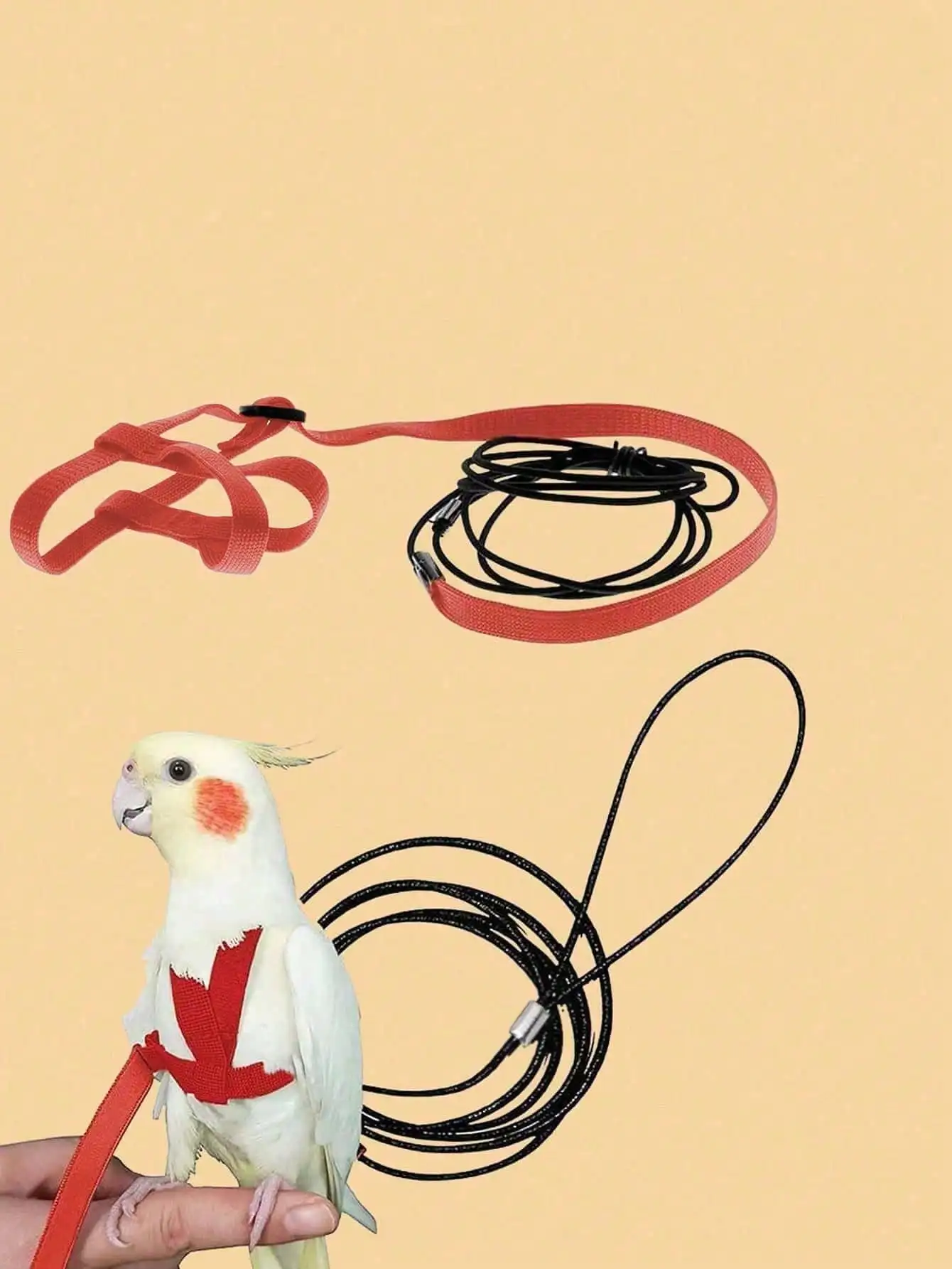 Thumbnail 3 - #83 Best Bird Supplies to Buy In 2026