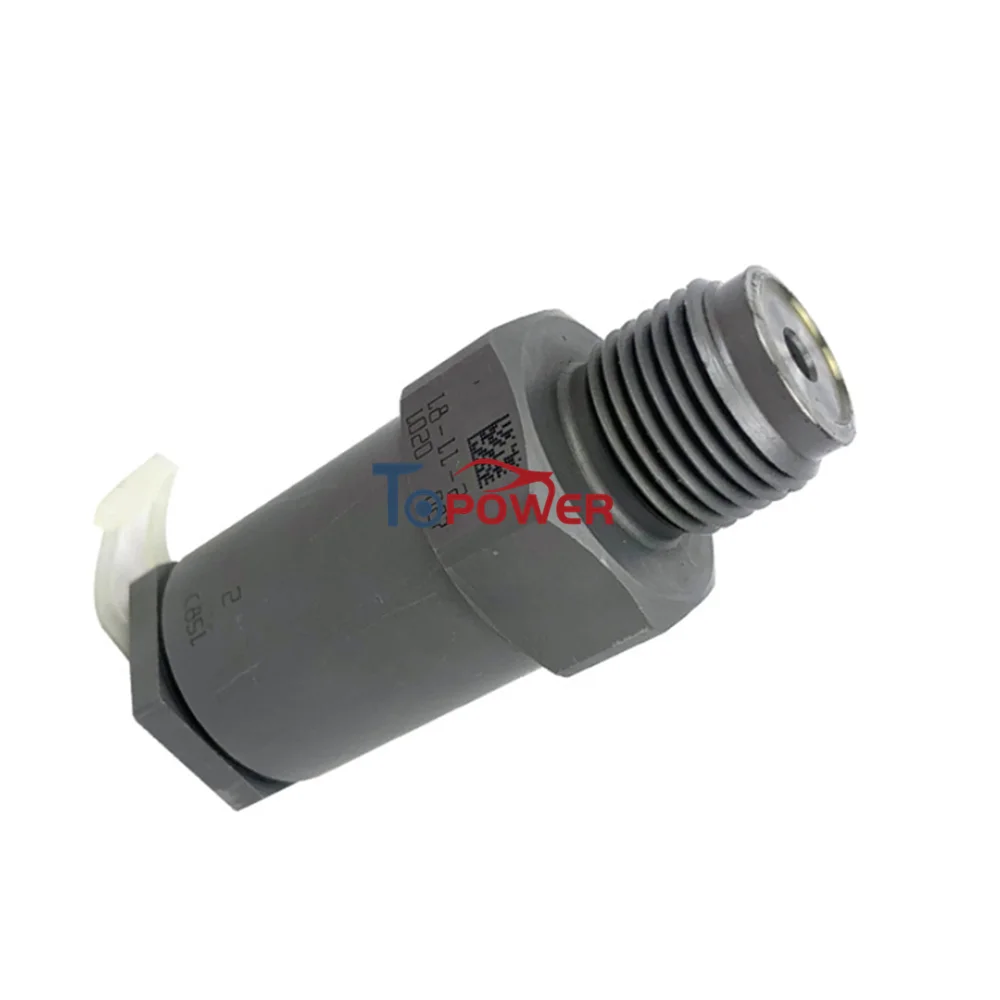 Fuel Pressure Limiter Pressure Valve 1110010020 F00R000756 for MAN Cumminss VWW