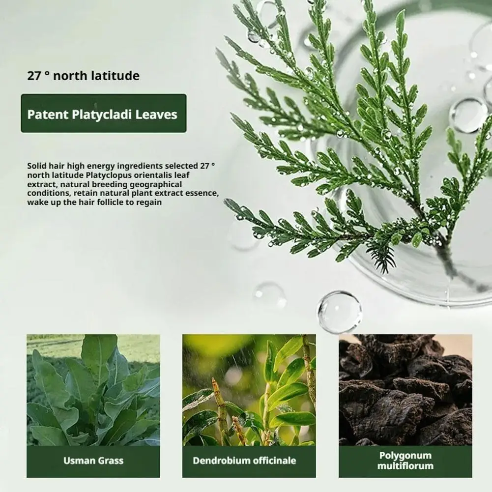 1/3 قطعة قضيب شامبو لتقوية جذور الشعر مع بلاتيكلاادوس أوسنيا عشب يتحكم في قشرة الزيت اليدوية شامبو مكثف صلب #2