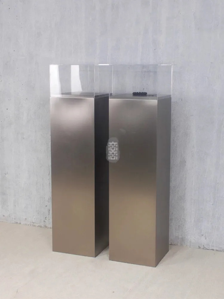 Stainless Steel Clothing Display Stand Famous Brand Jewelry Watch Decorative Rack Advanced Creativity Design Acrylic Dust Cover
