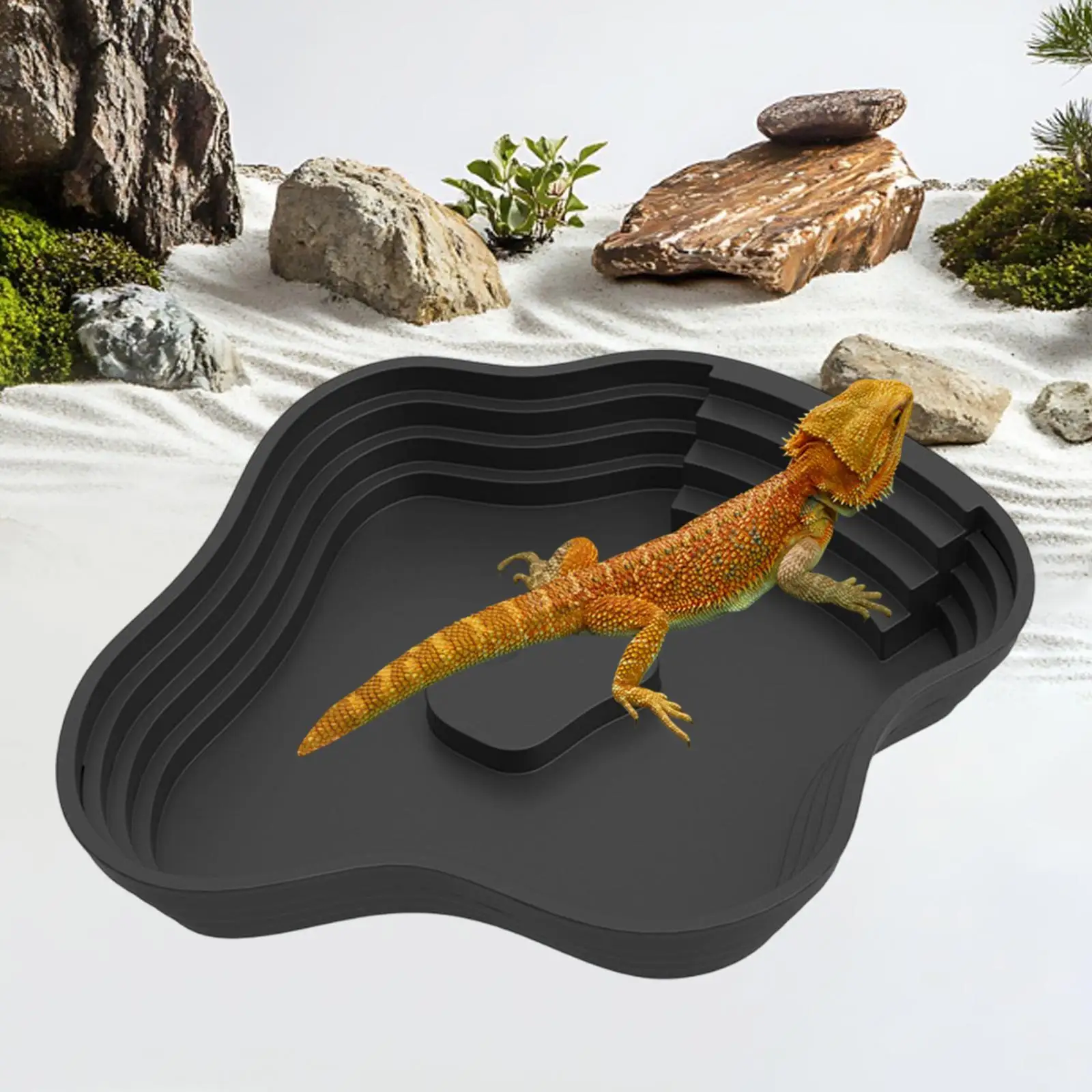 Plato con rampa para tortugas – Bebedero y comedero 2 en 1 para acuario - imagen 2