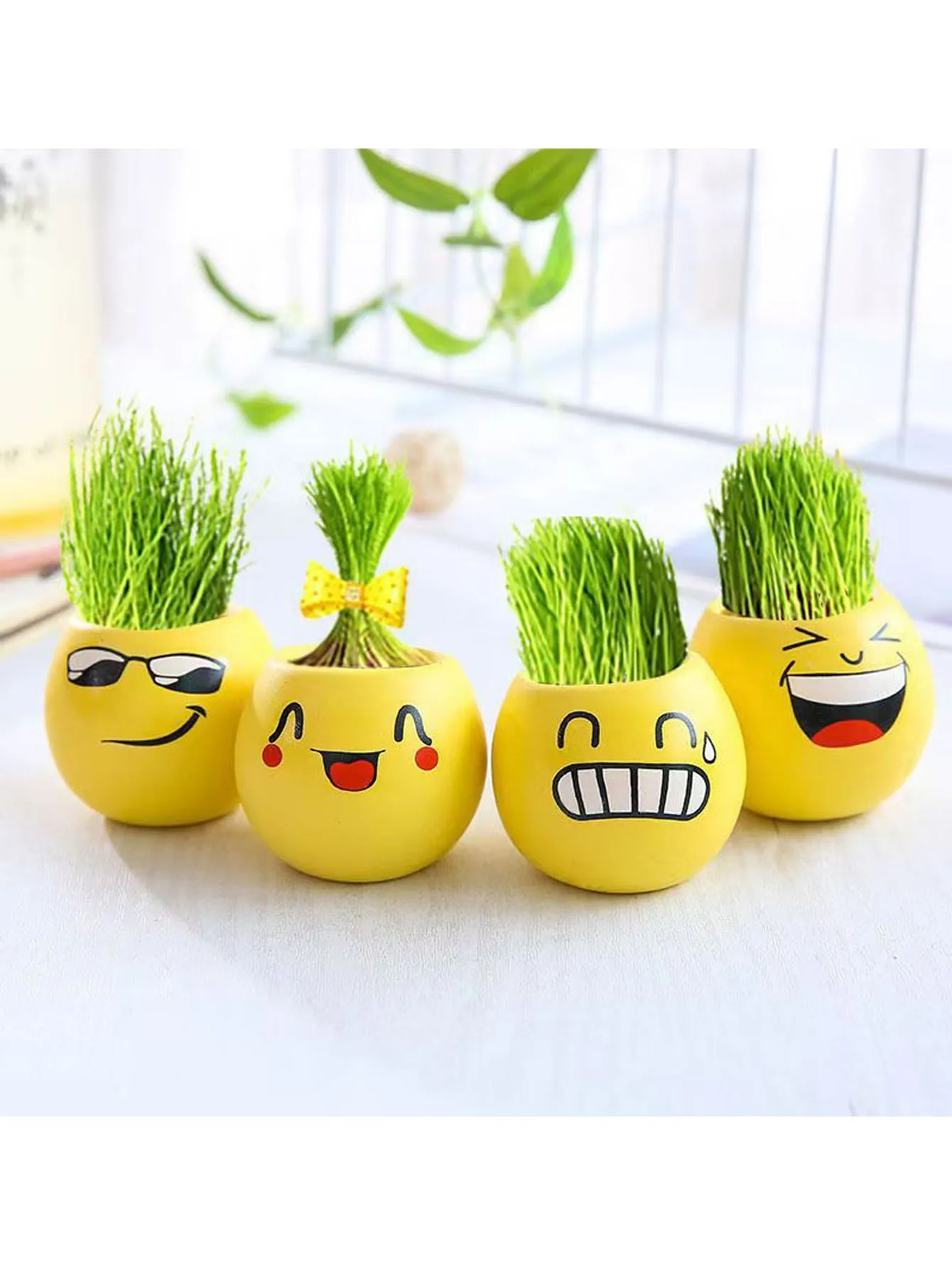 Cool Expression DIY Flowerpot, Creative desktop Decoration. Observing micro Landscapes, Interesting Plants, mini Potted Plants