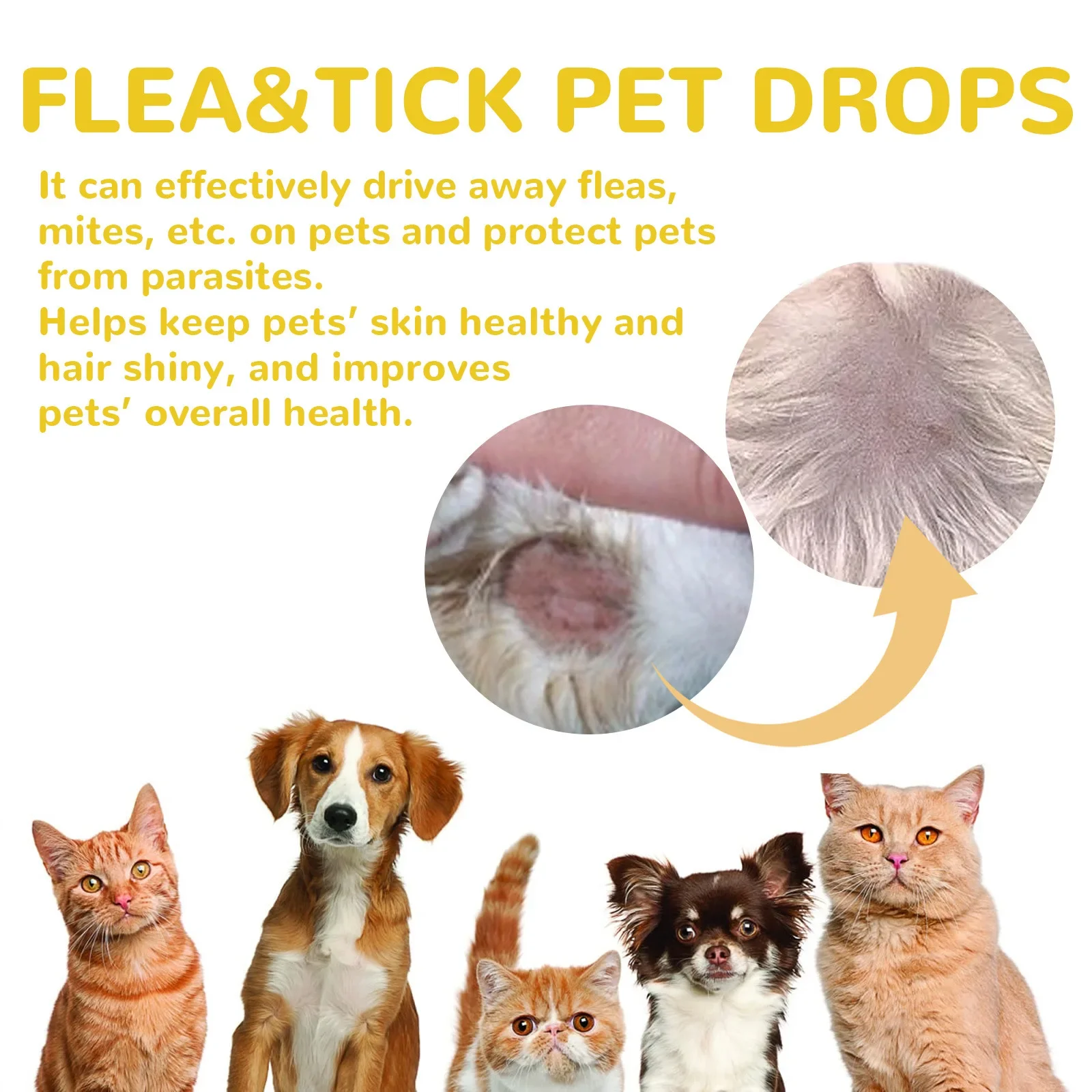 YEGBONG Pet Extracorporeal Insect Repellent Drops, Cat and Dog Cleansing Extracorporeal Flea Lice Tick Skin Anti-Itching Care