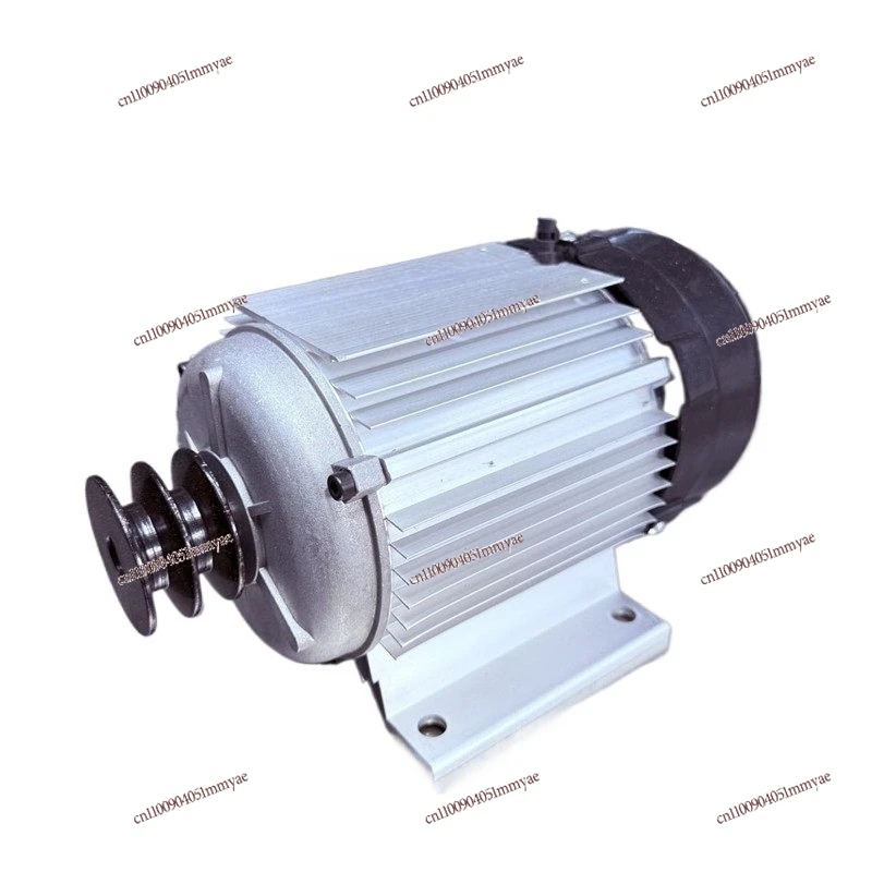 48-72V permanent magnet DC brushless motor fruit picker plunger pump oil to electricity