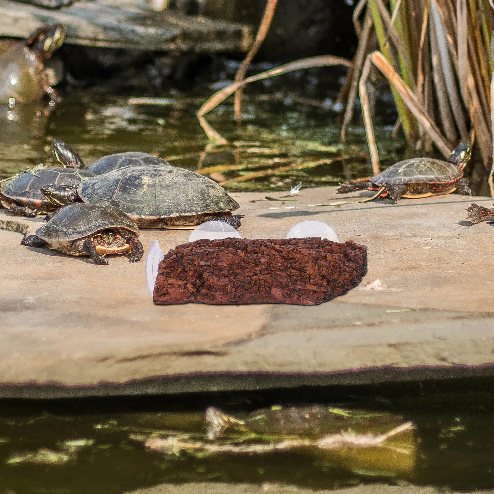

3PCS Turtle Basking Platform Cups Strong Cork Rock Accessories for Reptiles Tortoise Habitat Fish Tank Decorations