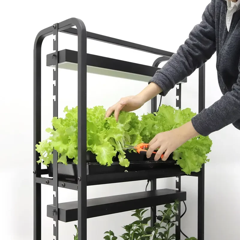 2 Tier High Adjustable Black Iron Modern Electronic LED Grow Stand Rack Movable Wheels for Indoor Seed Starting Home Floor