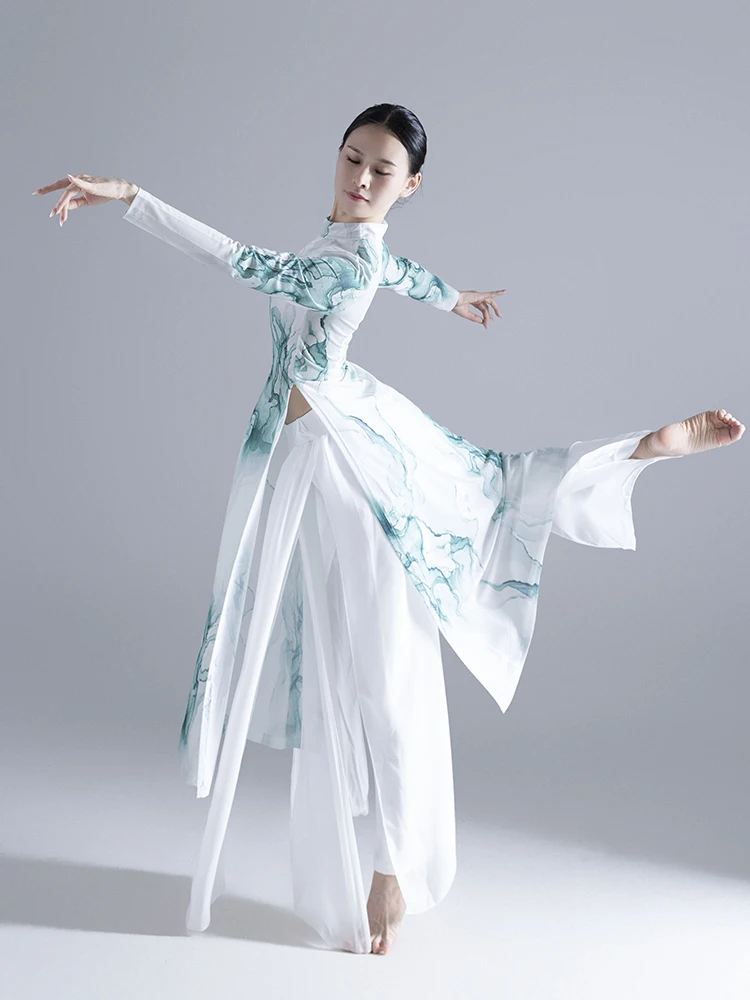 Classical Dance Costumes Women Body Rhyme Practice Clothes Tops Pants Floating Ancient Performance Clothes Chinese Dance Costume