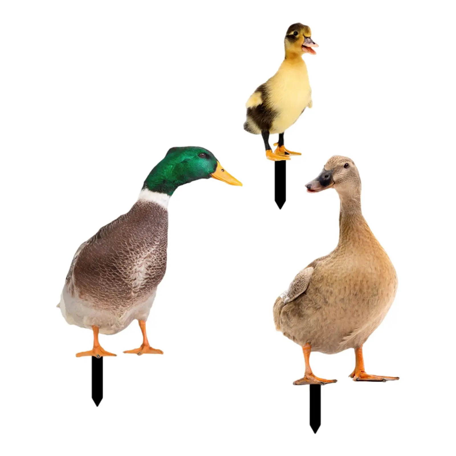 

3 Pieces Duck Animal Statue Stakes, Duck Statue Figurines Sign, Lifelike