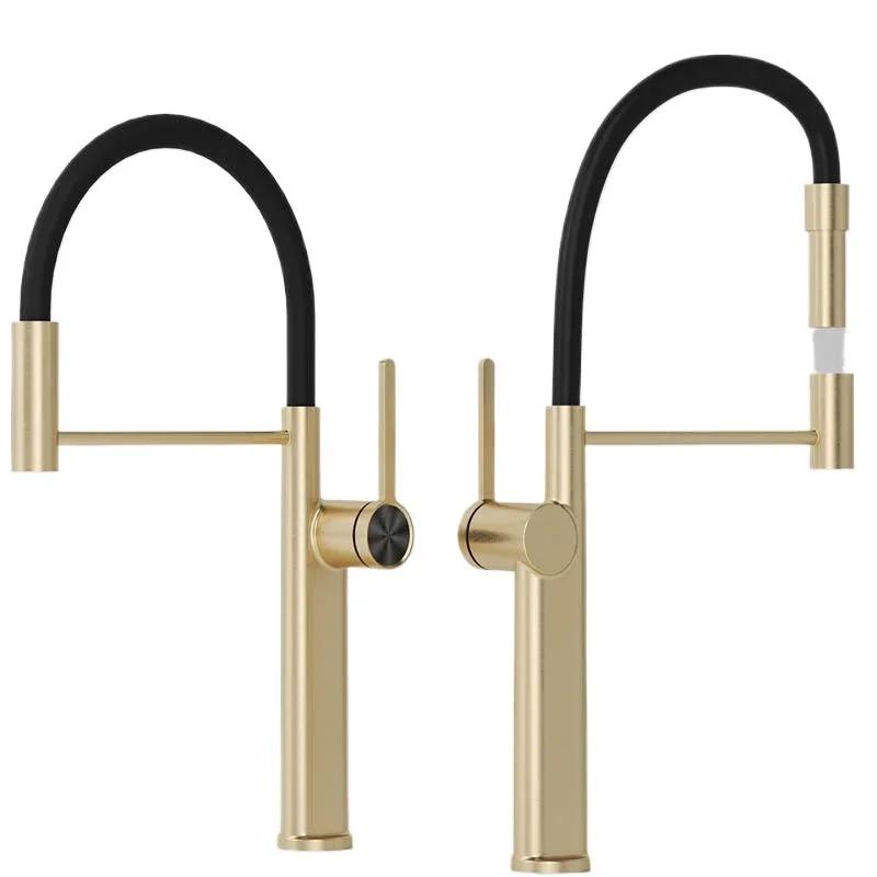 

Brass gold telescopic tube kitchen rotating multi-function magnetic dishwasher faucet vegetable basin faucet