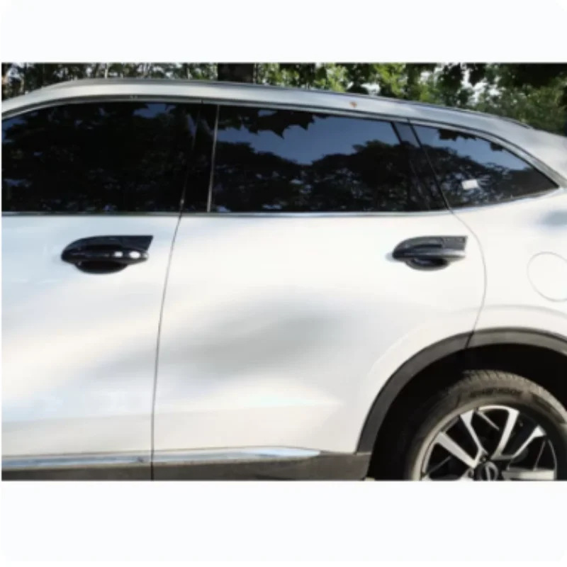 

For Haval Jolion H6 2021-2024 Accessories Car Door Handle Catch Protection Cap Cover Trim Handle Bowl Cover Trim Car Styling