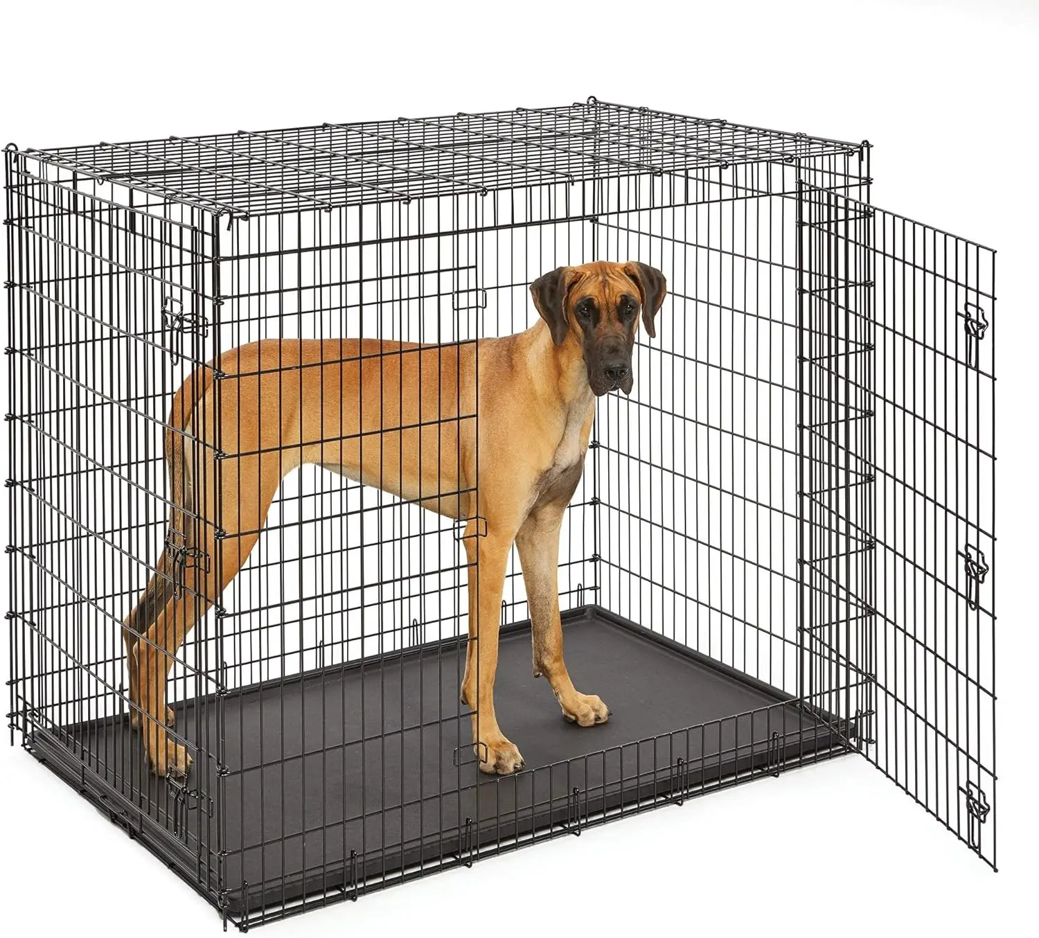 

Midwest Homes for Pets Ginormous Double Door 54-Inch Dog Crate for XXL Dogs Breeds; Great Dane, Mastiff, St. Bernard