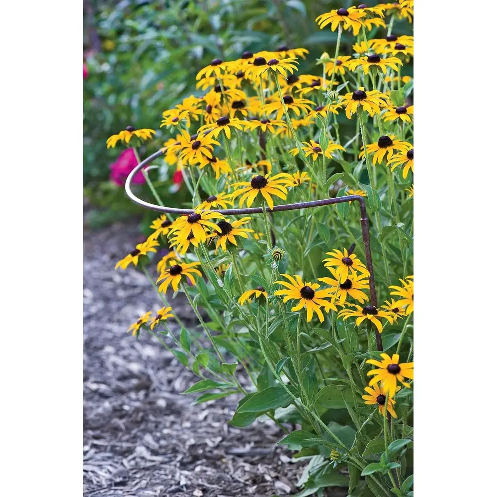 Metal Garden Plant Stakes | Durable Powder Coated Outdoor Support for Flowers, Tomatoes & More | 18 x 35 - Set of 2