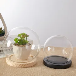 DIY Empty glass snow globe with Promotional hand model dust cover gift light snow dome  flower cover with wooden base