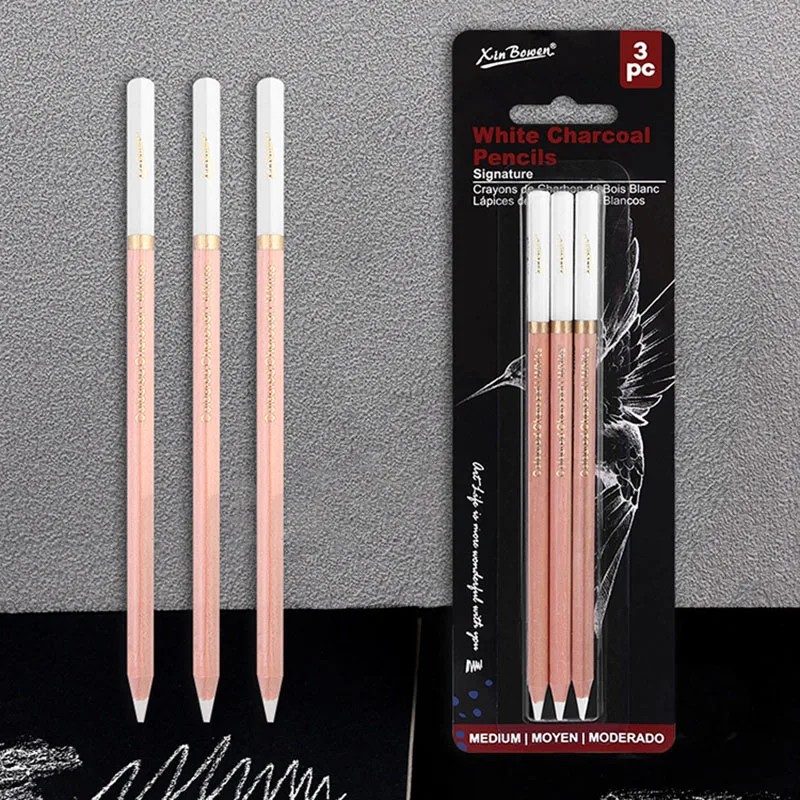 3Pcs Professional White Charcoal Pencils Set Sketch Highlight White Pencils for Drawing, Sketching Shading Blending Art Supplies