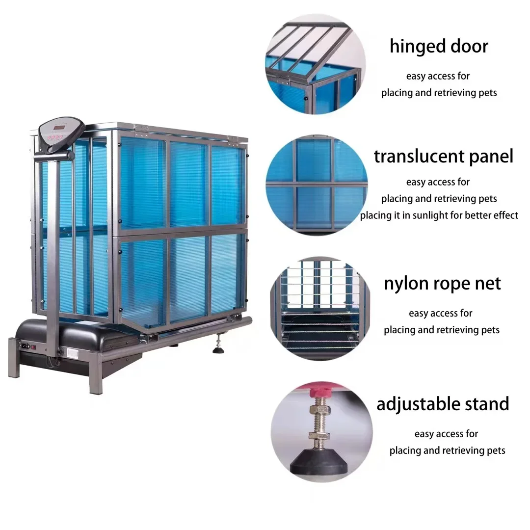 The most advanced rooster workout machine designed for the best performance rooster treadmill