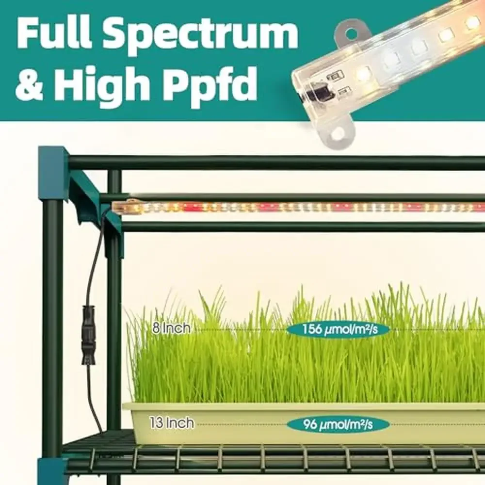 

Compact 4-Tier Seedling Greenhouse Full Spectrum Grow Lights Plant Starter Kit