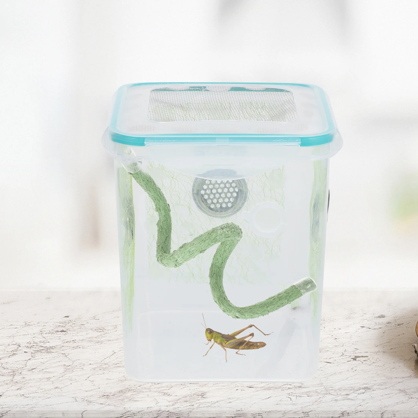 

Realistic Artificial Vine Decor for Reptile Habitat Terrarium Climbing Branch for Hermit Crabs Lizards Snakes Jungle Vines Tank