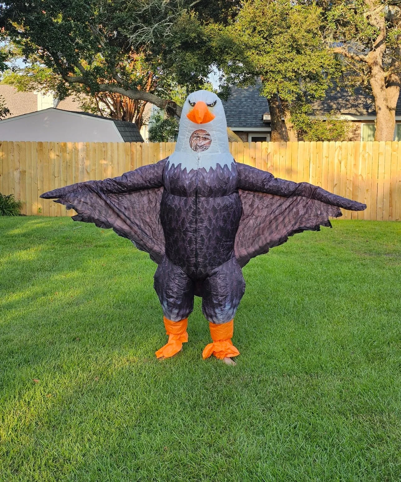 

Inflatable vulture costume adult Blowing eagle mascot suit Funny Independence Day Parade cosplay dress Up party props