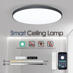 Smart Moisture Proof Ceiling Lamp LED Light Round Home Room Decoration Bluetooth WIFI Remote Control APP Dimming Timing