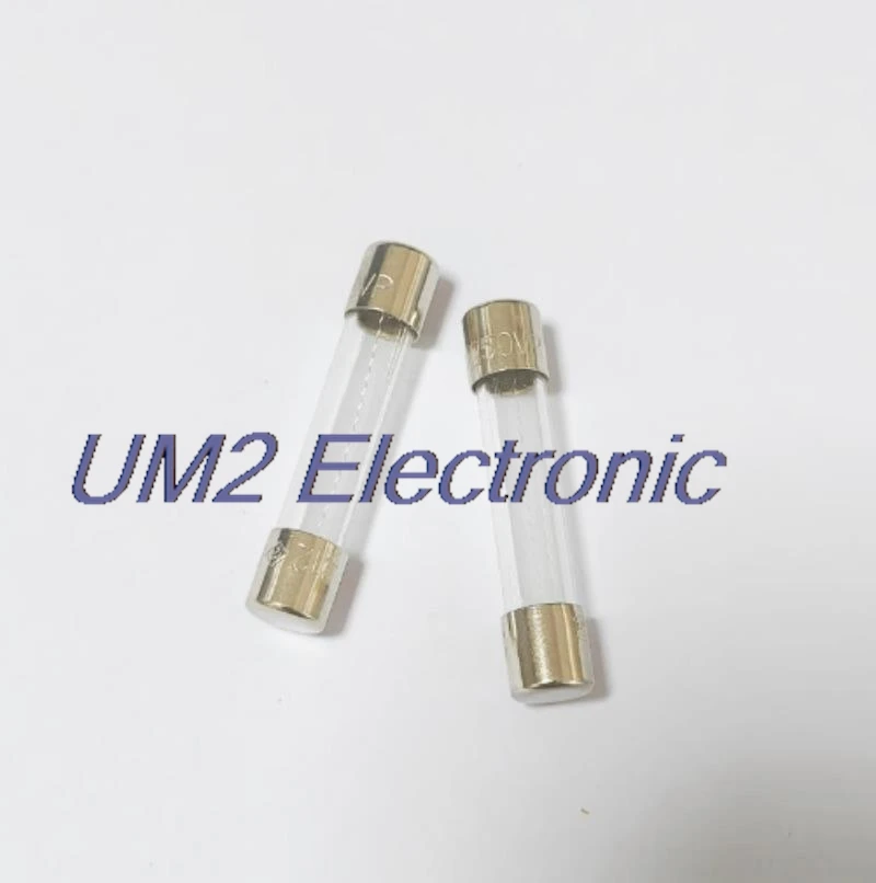 

100pcs 5*20 250V fuse Slow melt delay T