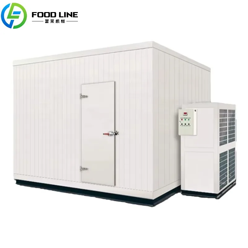 Customized Cool Room Cold Storage Refrigeration Unit Container Snacks Meat Freezer Cold Unit For Food Storage Applications