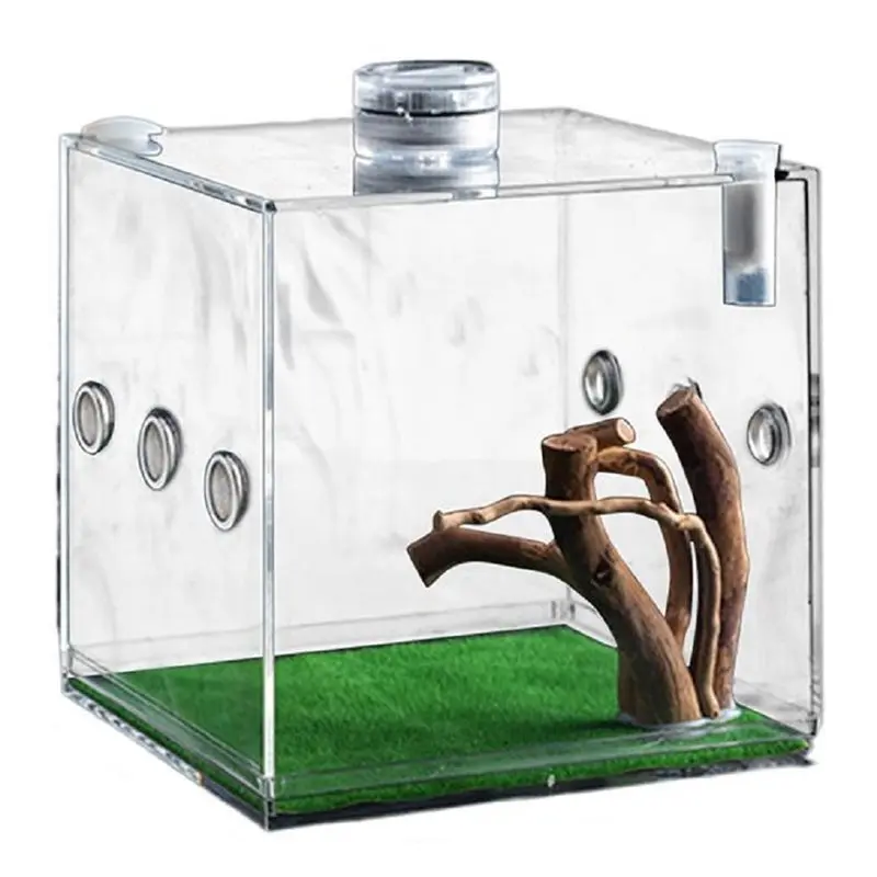 A74E-Reptile Contai…