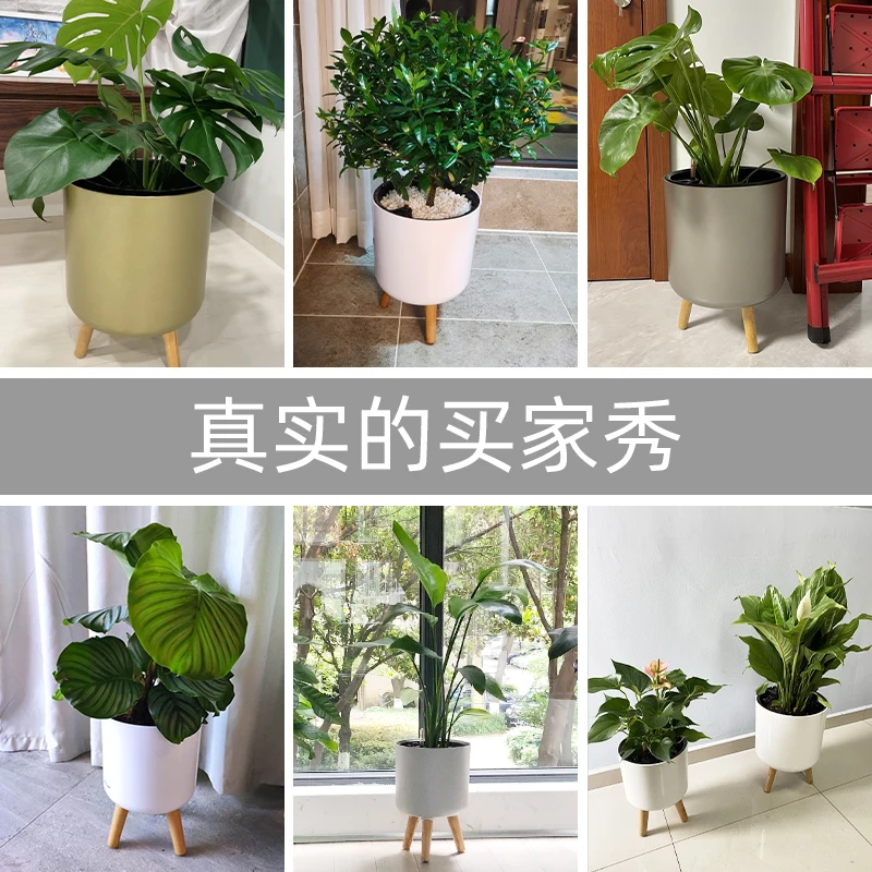 

Living room with feet Flower pot Automatic suction pot Bracket Green plant floor large plastic pot