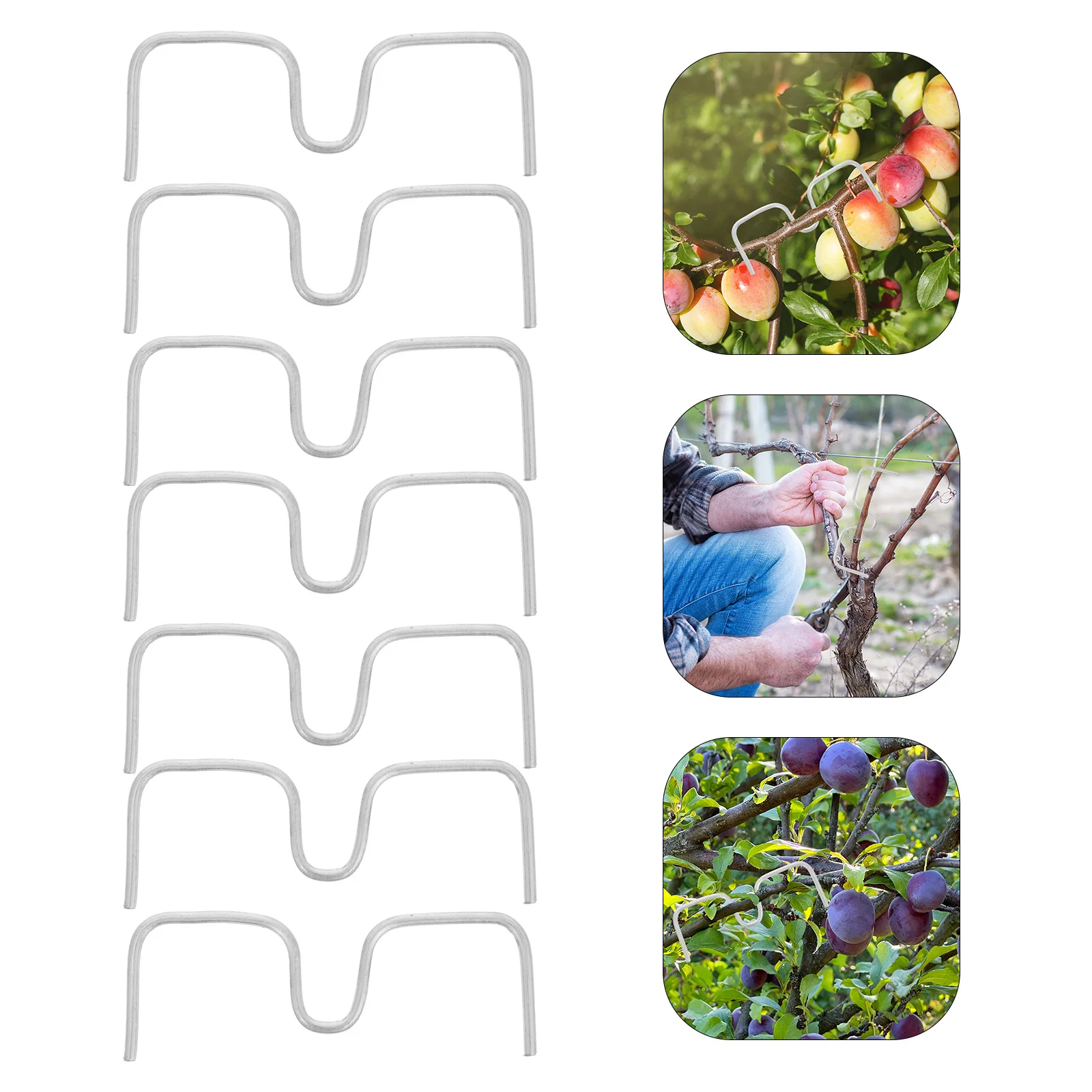 

14pcs Fruit Tree Branch Spreader S Shape Bending Tool For Training Trees Garden Support Clip Branch Fixing Accessory