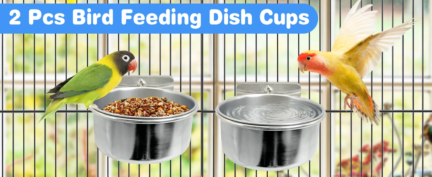 Bird Feeding Dish