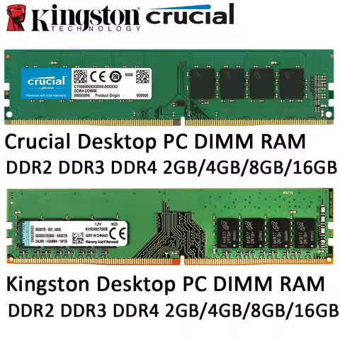 Crucial Desktop RAM DDR4 DDR2 DDR3 8GB 2GB 4GB 16GB 3200MHz 2666 2400 2133 667 800 1333 1600MHz DIMM PC Memory Single Dual Rank
