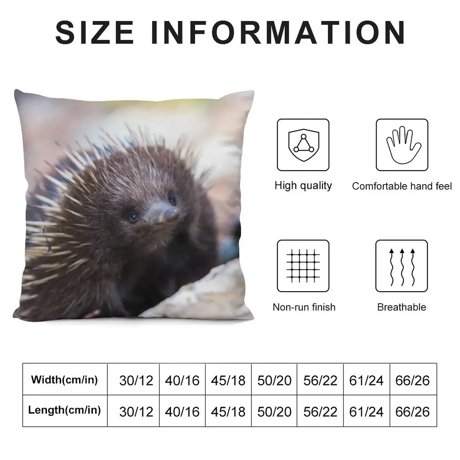 Echidna Throw Pillow autumn decoration christmas pillow case Couch Pillows Ornamental Pillow