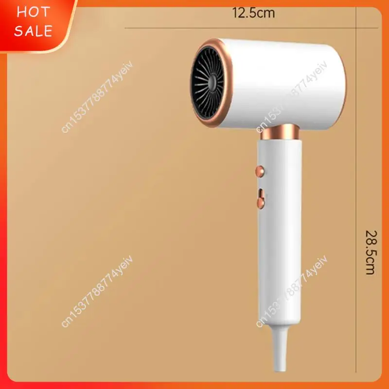 헤어드라이어 일정한 온도 및 빠른 건조 헤어드라이어(디퓨저 포함) 미국 플러그 A62X