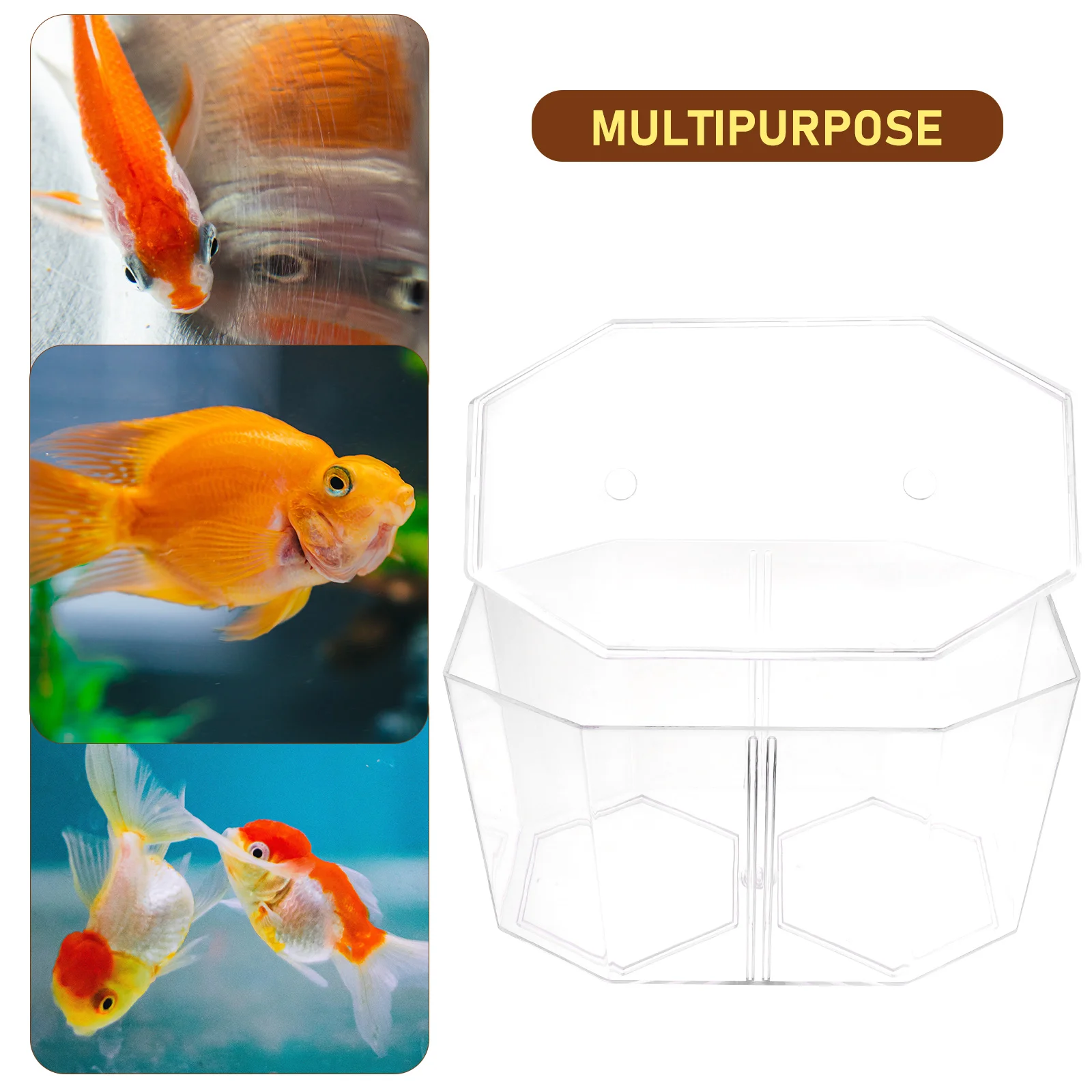 

Fish Isolation Breeding Box Clear Plastic Incubation Tank Double Compartments Aquarium Divider Fish Tank Accessory