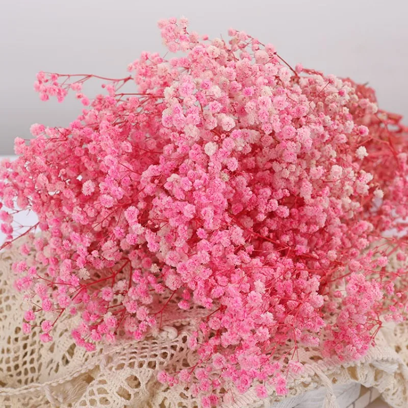 Natural Dried Flowers Preserved Gypsophila Paniculata Baby's Breath Flower Bouquet Wedding Home Decor for Photo Props Decoration