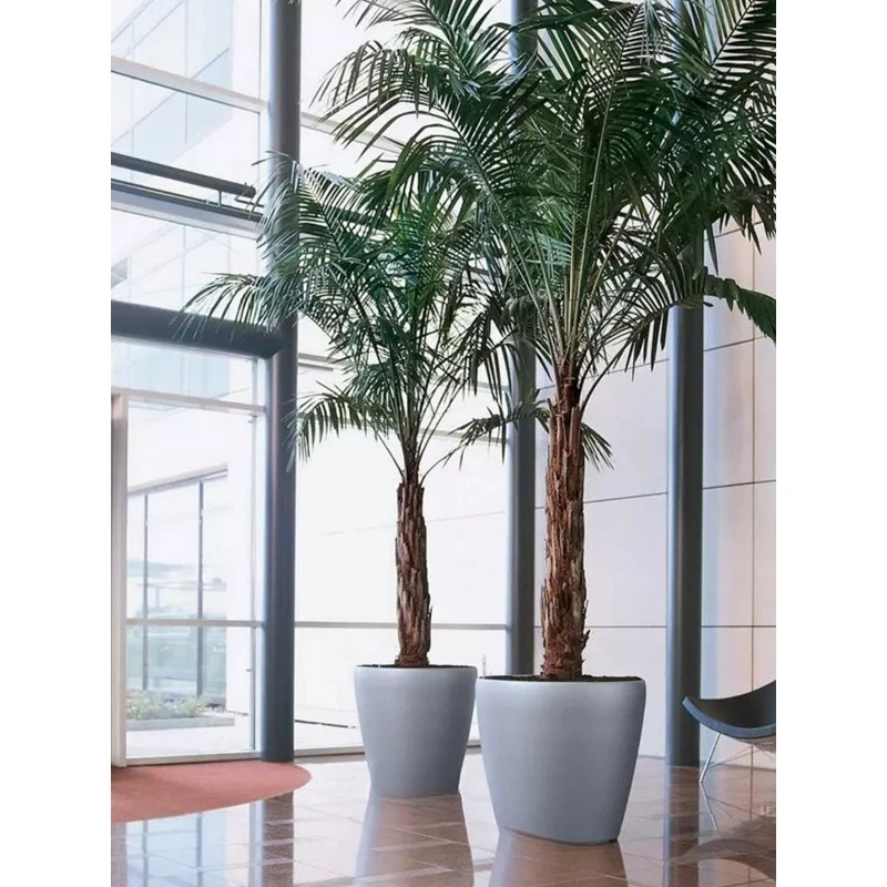 Automatic water absorption guest inside and outside floor round creative resin flower pot